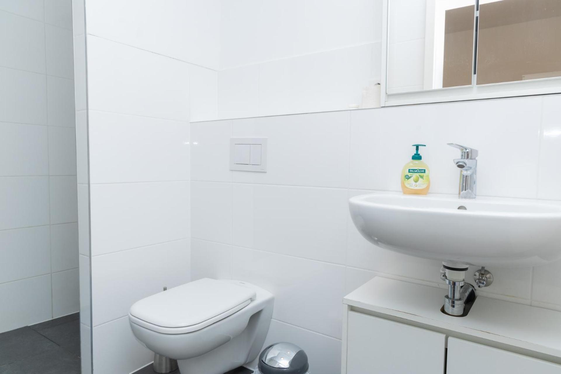 Apartment Z.bilic V&v *